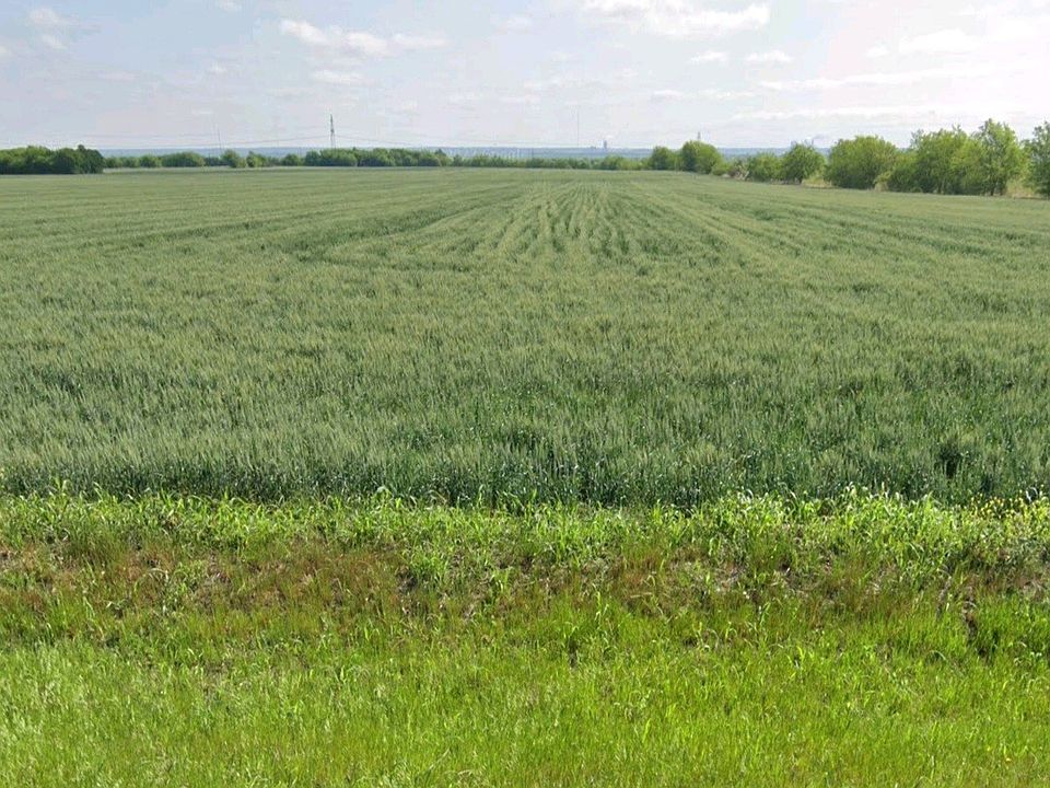 1st image of 3632 County Road 619