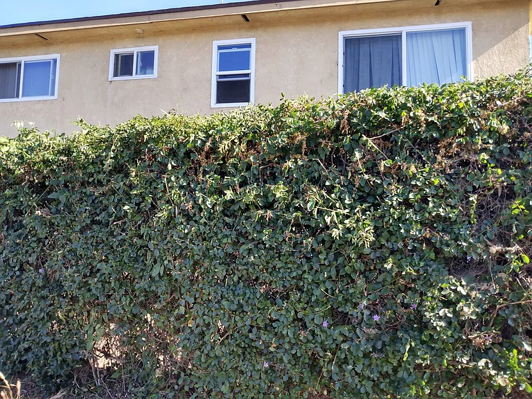 7692-7732 Chapman Ave — Photo 100