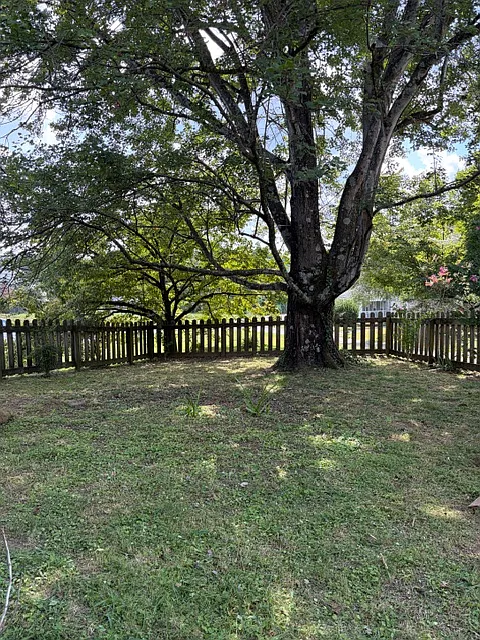 3 bed, 1456 sqft, $1,500 — Photo 2