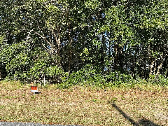4th image of 2017 W Snowy Egret Pl