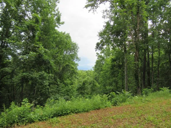 16 Berry Cove Rd, Franklin, NC 28734