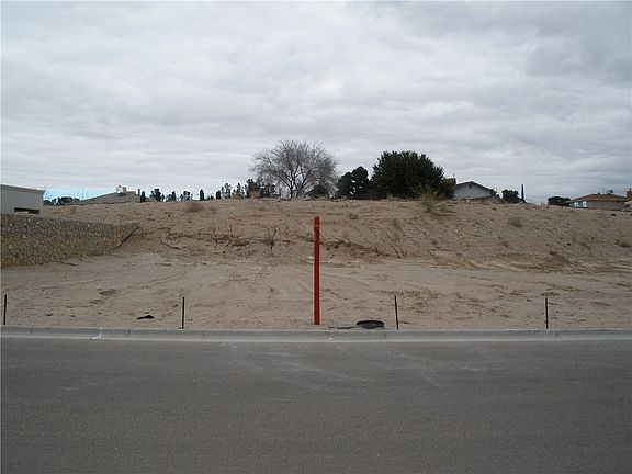 4th image of 11679 Dos Palmas Dr