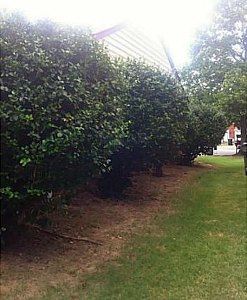 4th image of 3108 S Wesley Ct