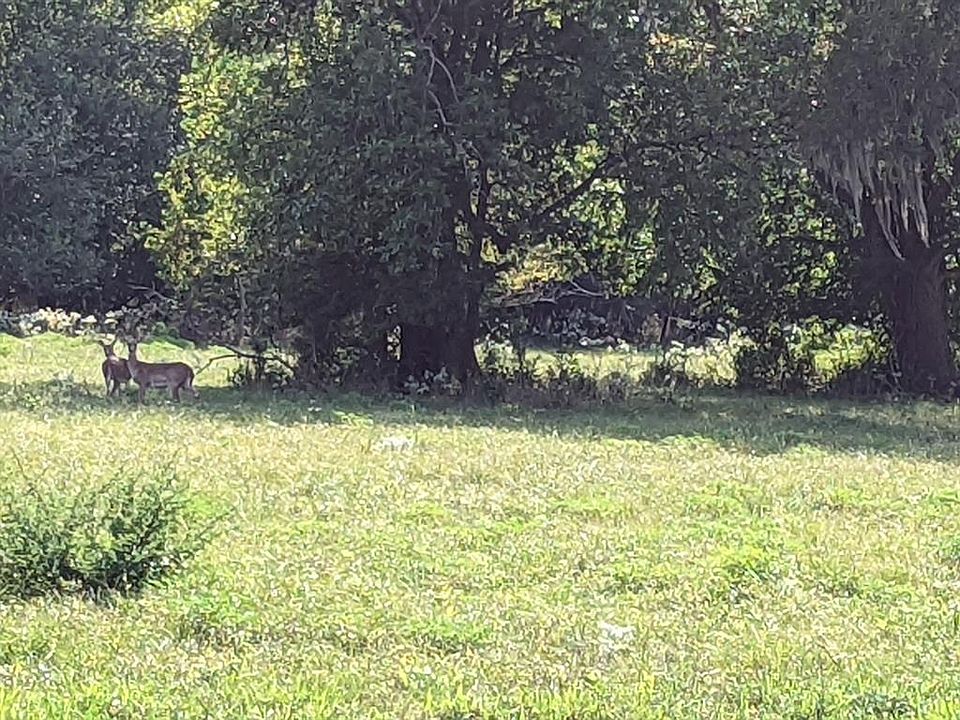 0 Texaco Rd, Thompsons, TX 77481 MLS 7713511 Zillow