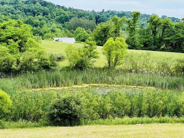 37406 New Lima Rd, Rutland, OH 45775