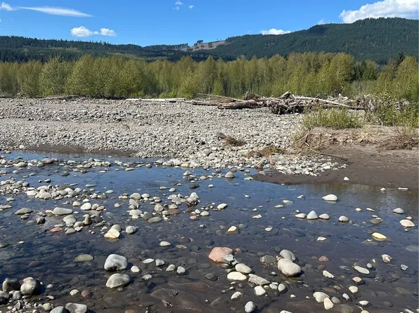 0 Rainier Vista Drive, Mineral, WA 98356