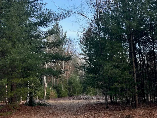 6243 Hillside Dr, Alger, MI 48610