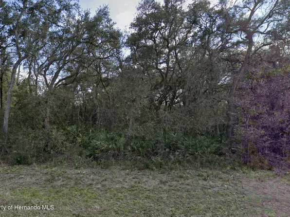 7149 Alloy St, Webster, FL 33597