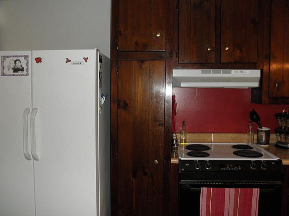 Built-in Pantry and Fridge Conveys