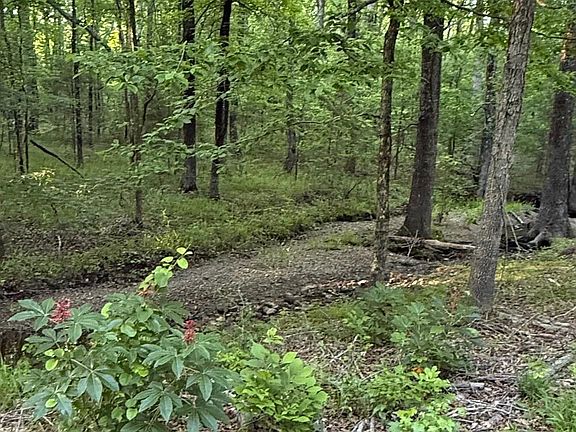 4th image of 0 Robinson Rd