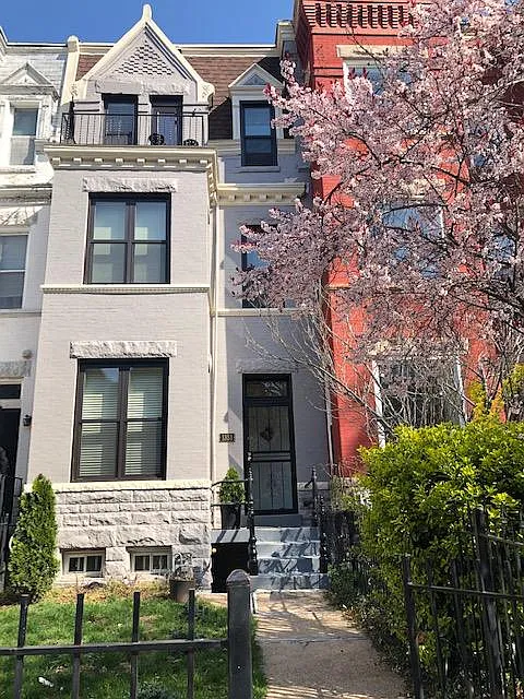 1 bed, $970 — Photo 4
