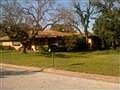 1st image of 1101 Sierra Dr