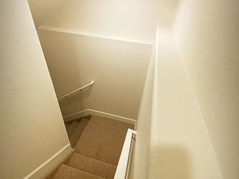 4556 Horse Tooth Rd — Photo 15