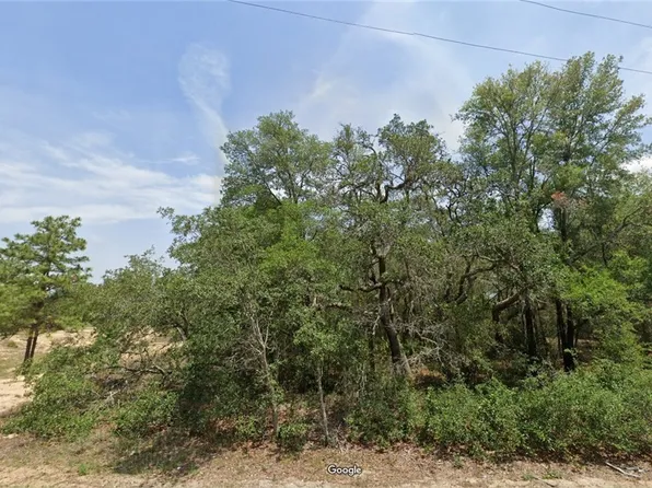 2807 W Huron Ln, Citrus Springs, FL 34433