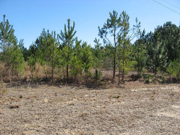 Acreage view