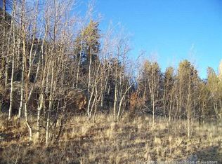 21 Pintail Way, Como, CO 80432