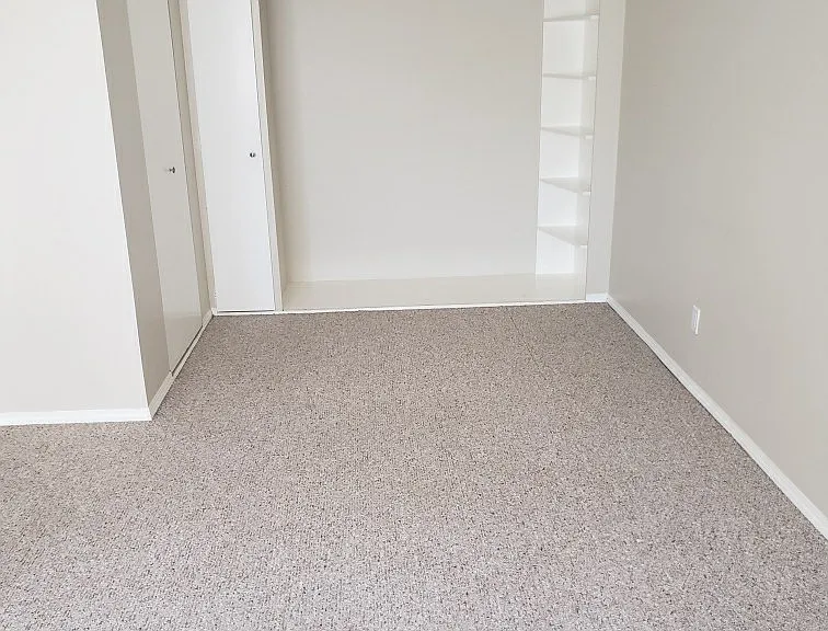 215 Carnarvon St #204 — Photo 10