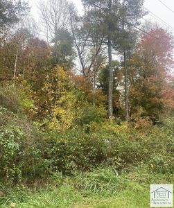 0 Virginia Ave, Bassett, VA, 24055