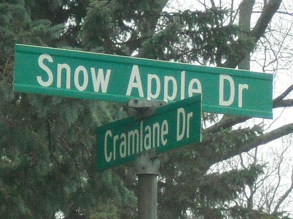 5th image of 6235 Snow Apple Dr