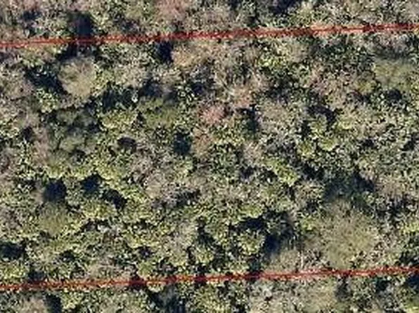 Xx Lot 6, Cocoa, FL 32927