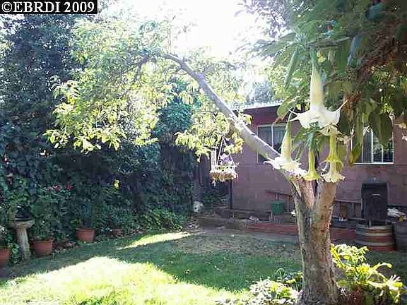 4th image of 6421 Brann St