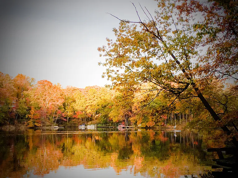 4 season of beauty