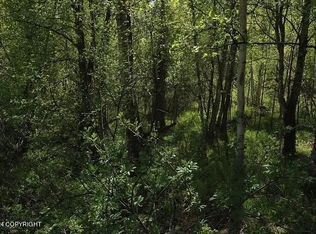 L1-B1 W Horizon Dr, Wasilla, AK 99623