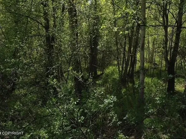 L1-B1 W Horizon Dr, Wasilla, AK 99623