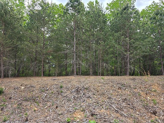 5th image of LOT 146 Noahs Knl