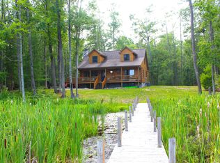 19601 Horseshoe Lake Dr, Hillman, MI 49746