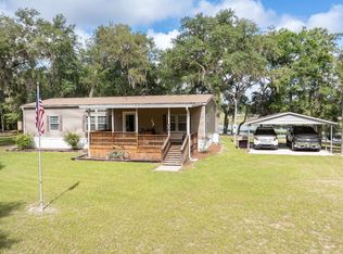 262 SE Seymour Dr, Mayo, FL 32066