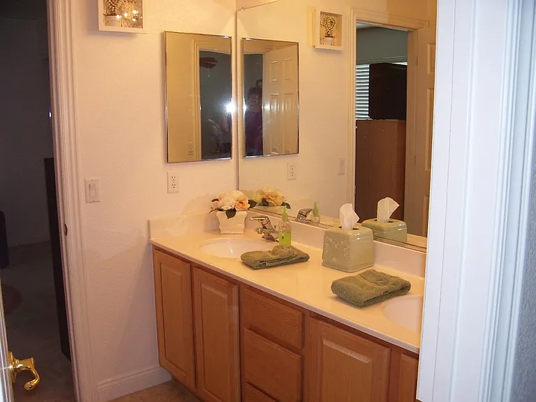 3316 Lacebark Pine St — Photo 13