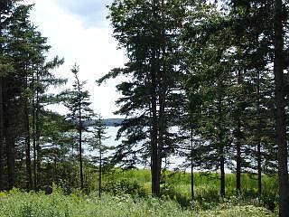 2nd image of lot3 Kings Lane