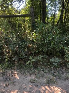5963 139th Trl, Lovilia, IA, 50150