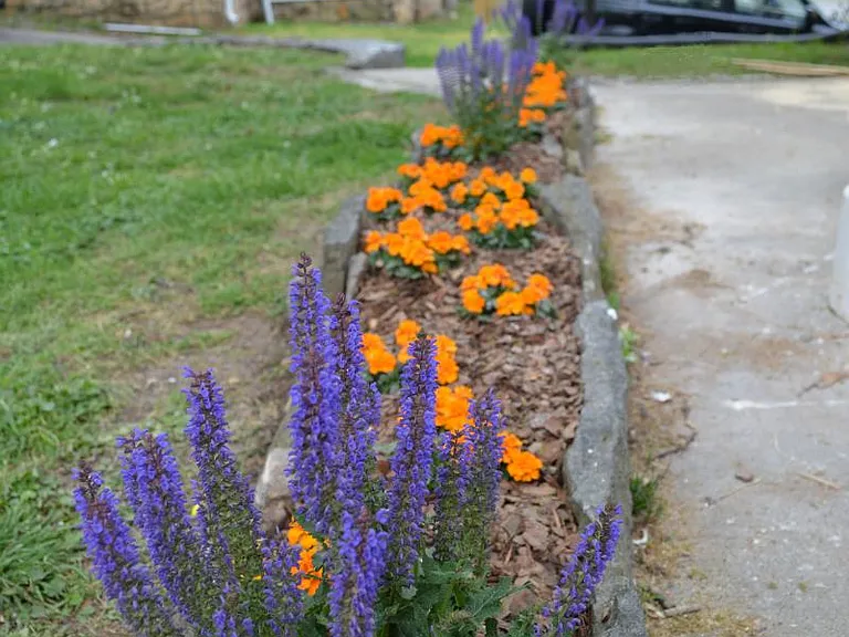 Beautiful maintained landscaping