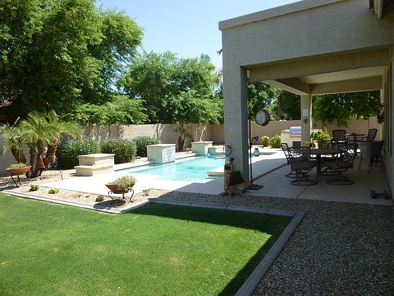 back yard