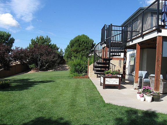back yard
