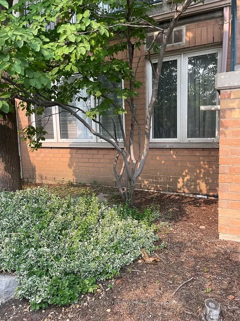 3 bed, $3,250 — Photo 2