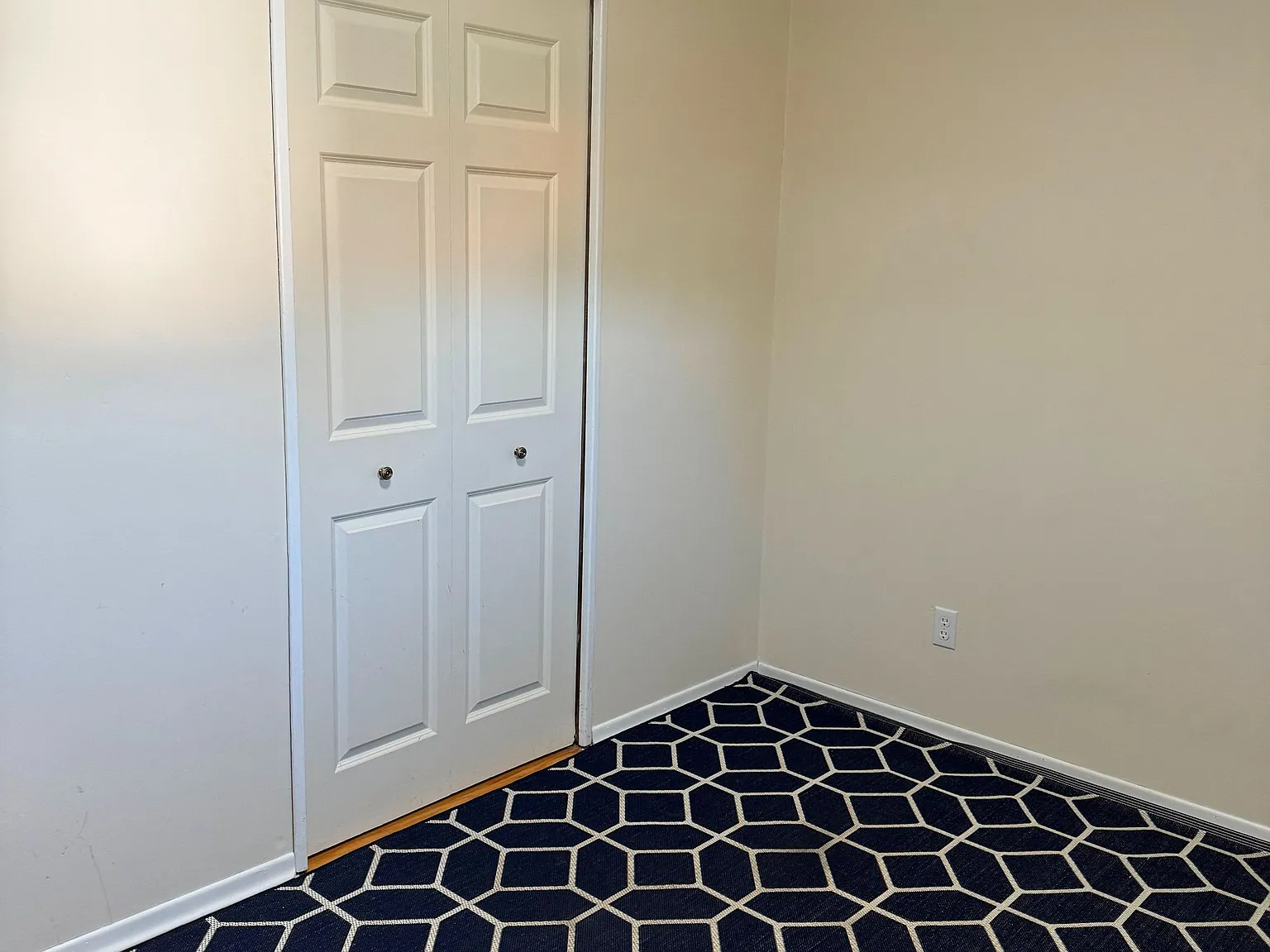 1 bed, $950 — Photo 4