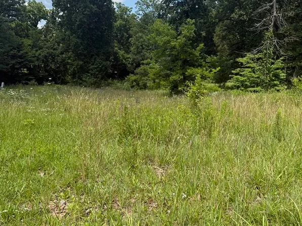 LOT 3 Pig Rd, Smiths Grove, KY 42171