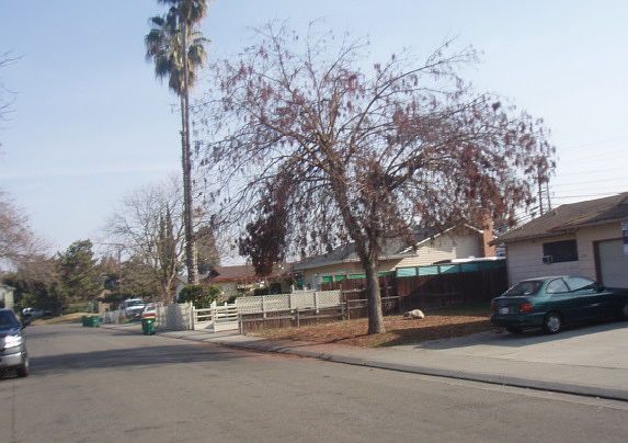 5th image of 214 Arc Ave