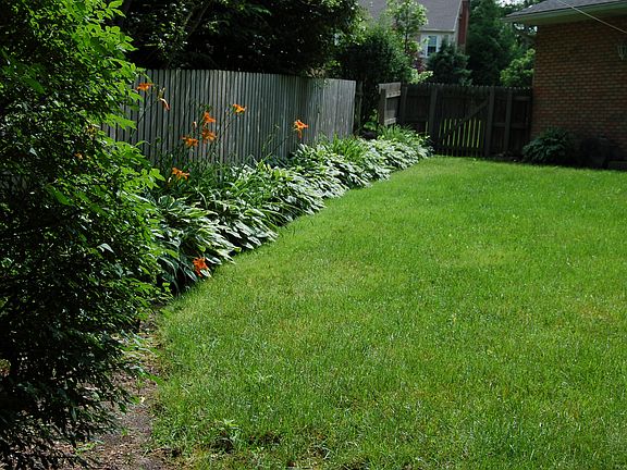 Backyard perinneals