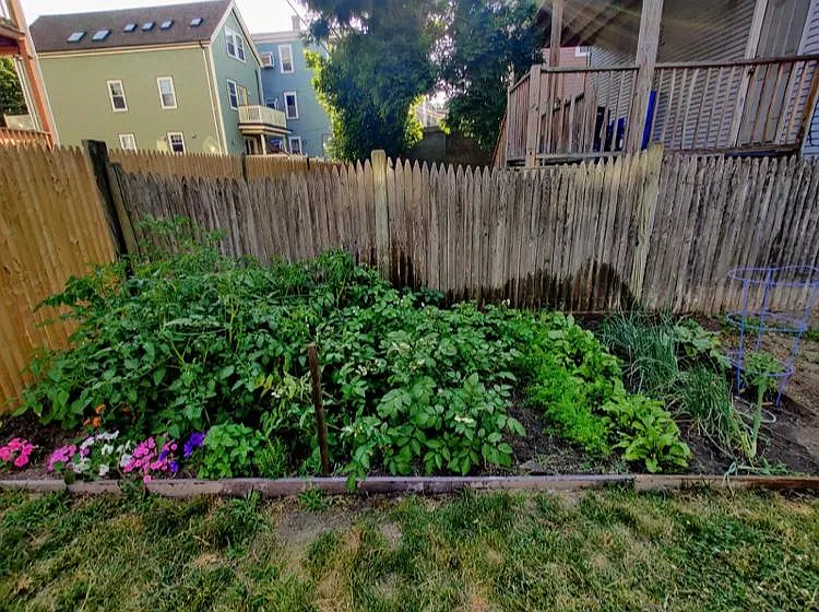 14 Edison Grn #3 — Photo 24