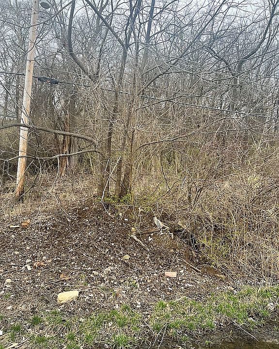 2nd image of 114 N 88th St