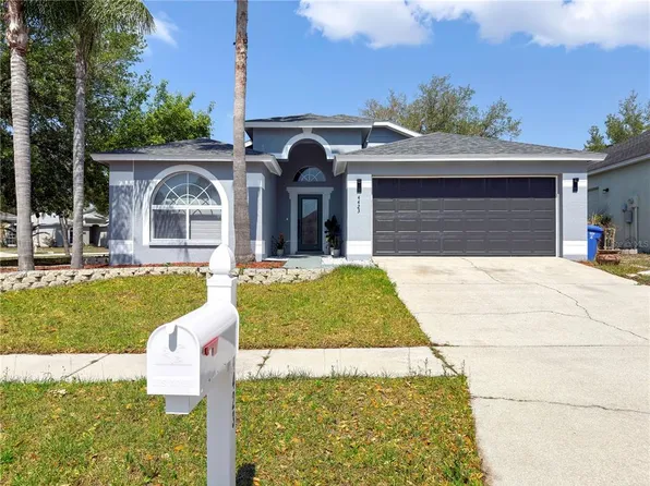 4423 Horseshoe Pick Ln, Valrico, FL 33594