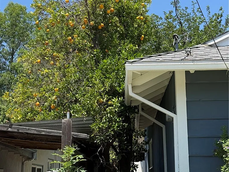 7055 Semrad Rd — Photo 35