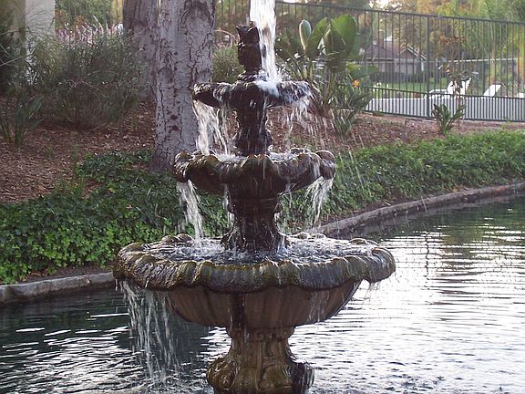 part of the lake