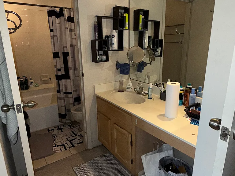 200 N Dearborn St #3204 — Photo 6