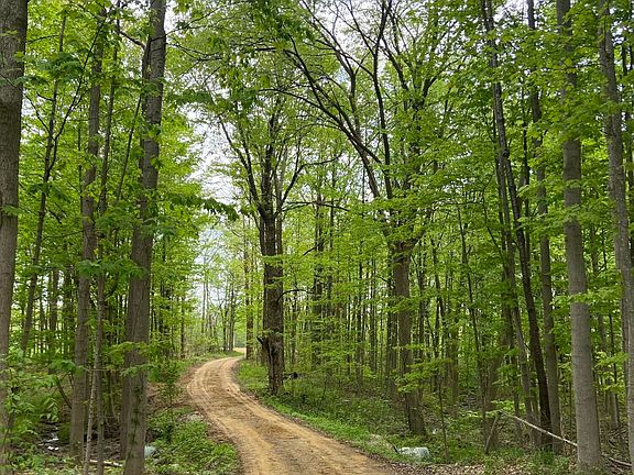 3rd image of 42733 County Road 390