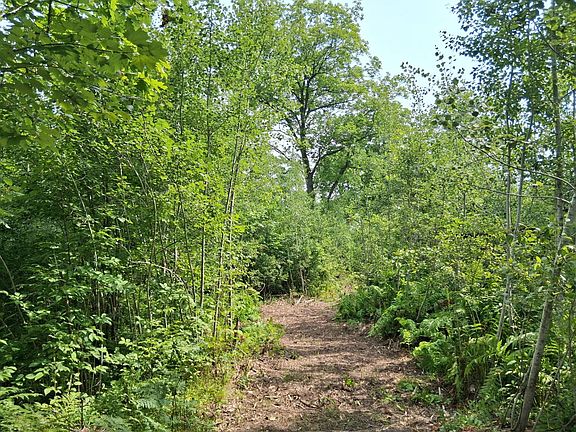 4th image of PARCEL 1 County Road T
